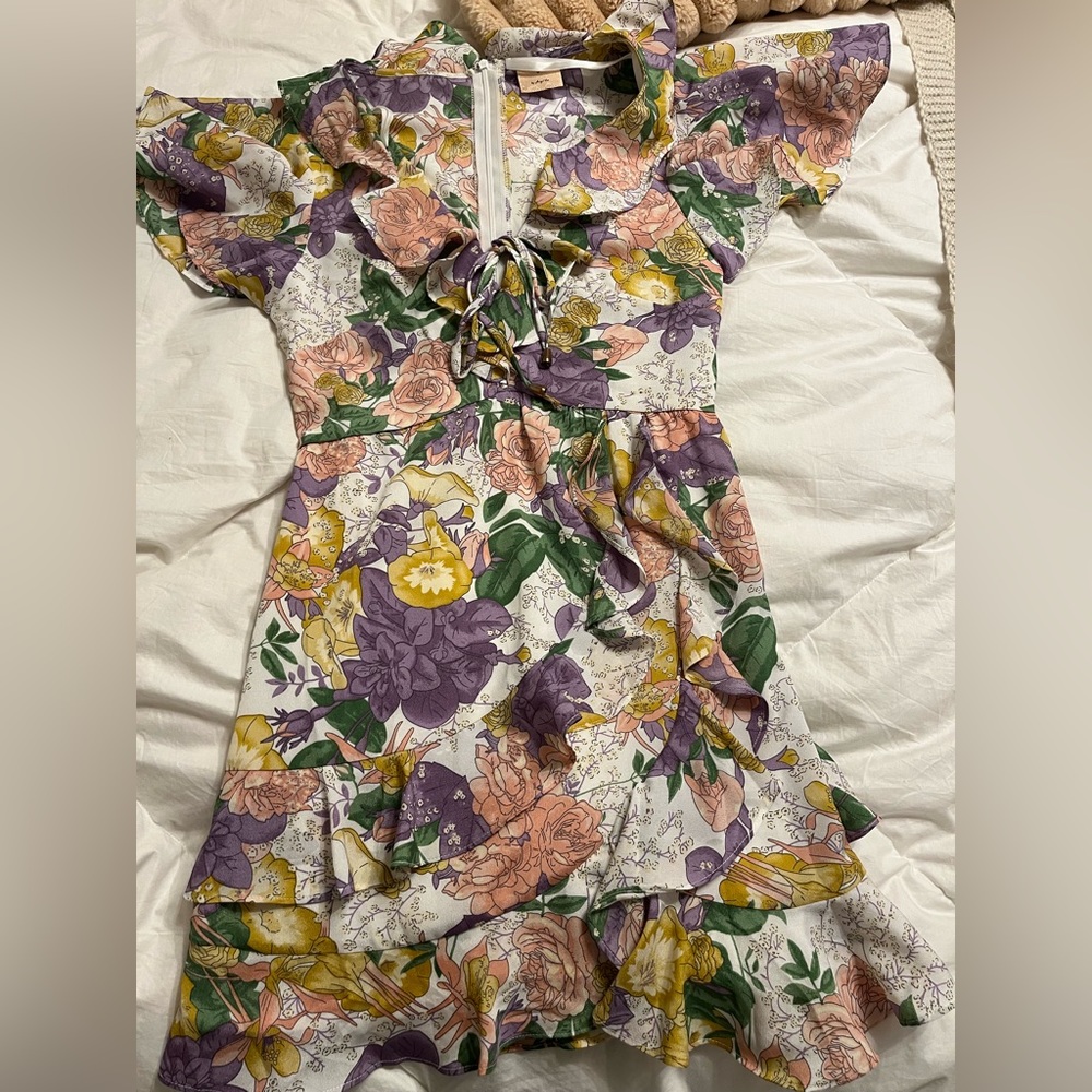 Showpo dress, only worn once. Great condition (like new)